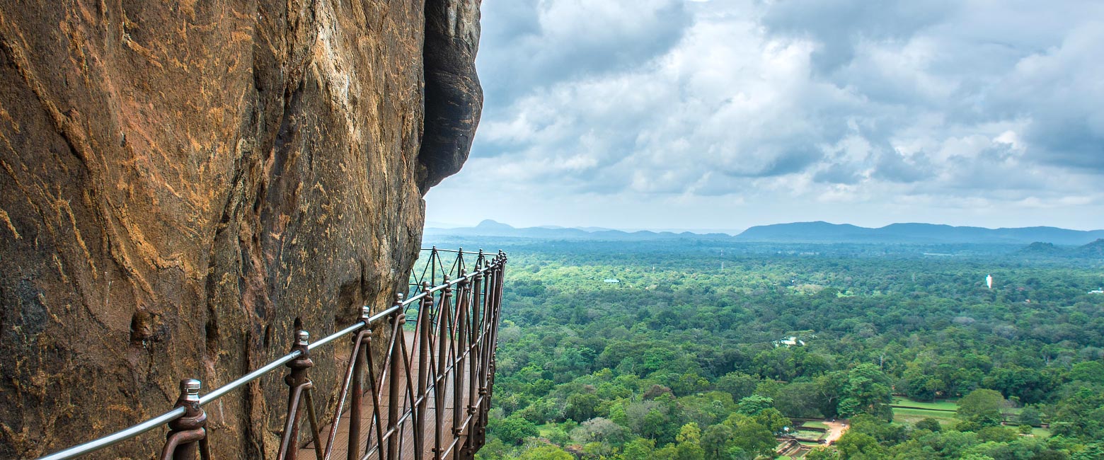 let us know your thoughts about Sri Lanka and we will help you create the perfect safari 