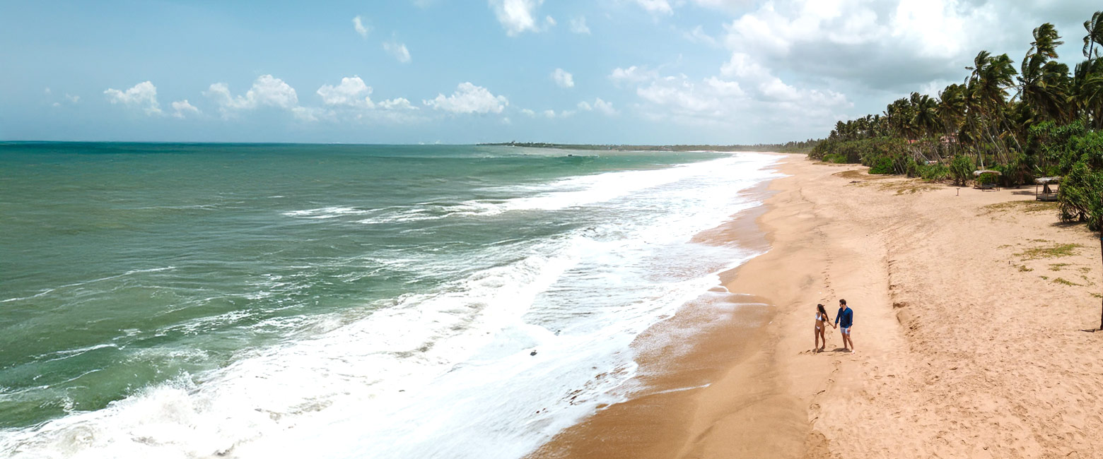 let us know your thoughts about Sri Lanka and we will help you create the perfect safari