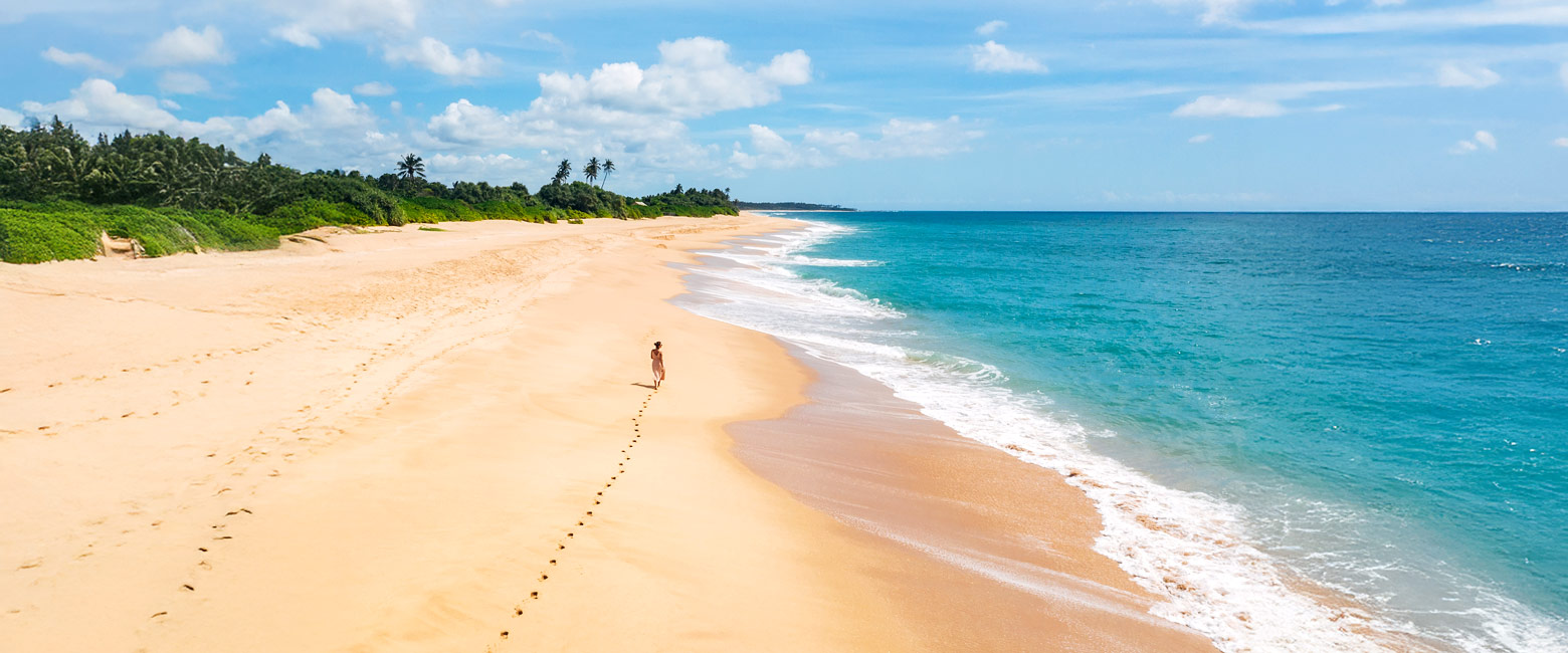 let us know your thoughts about Sri Lanka and we will help you create the perfect safari