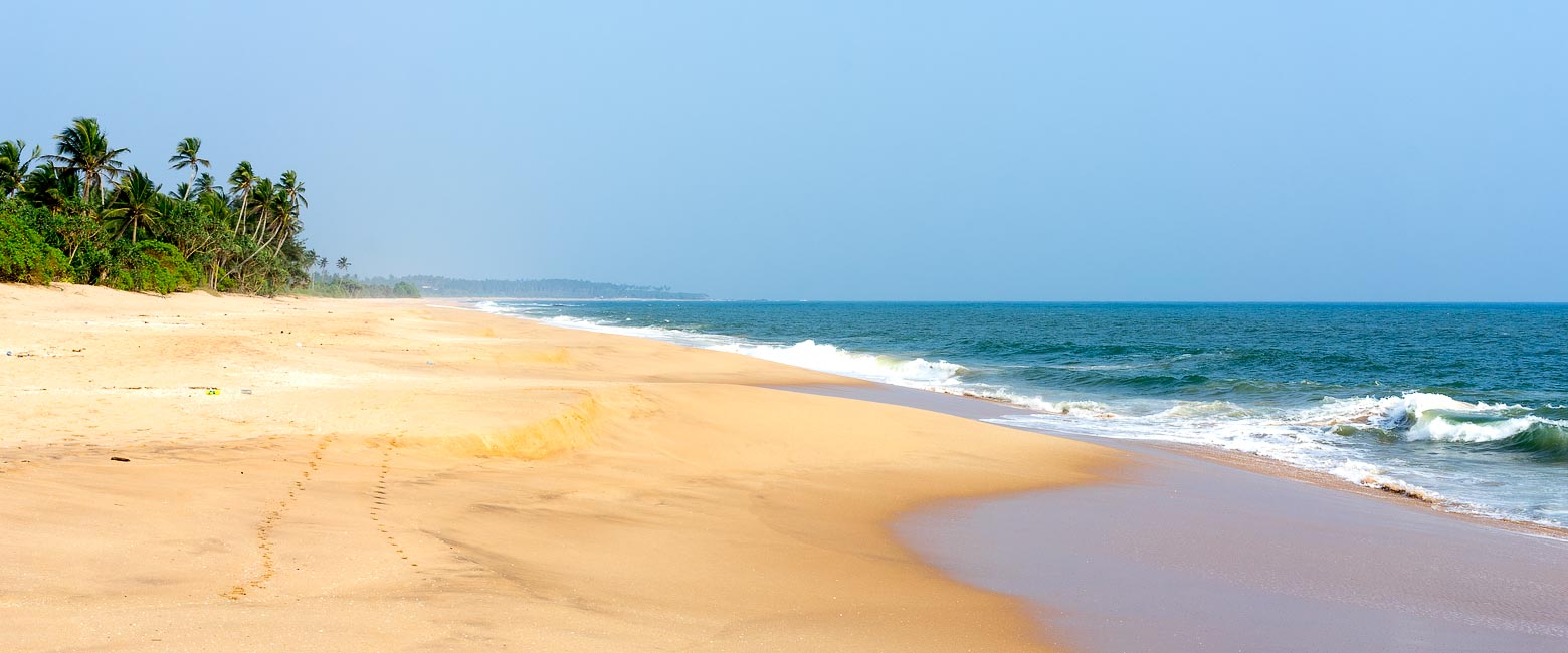 let us know your thoughts about Sri Lanka and we will help you create the perfect safari 