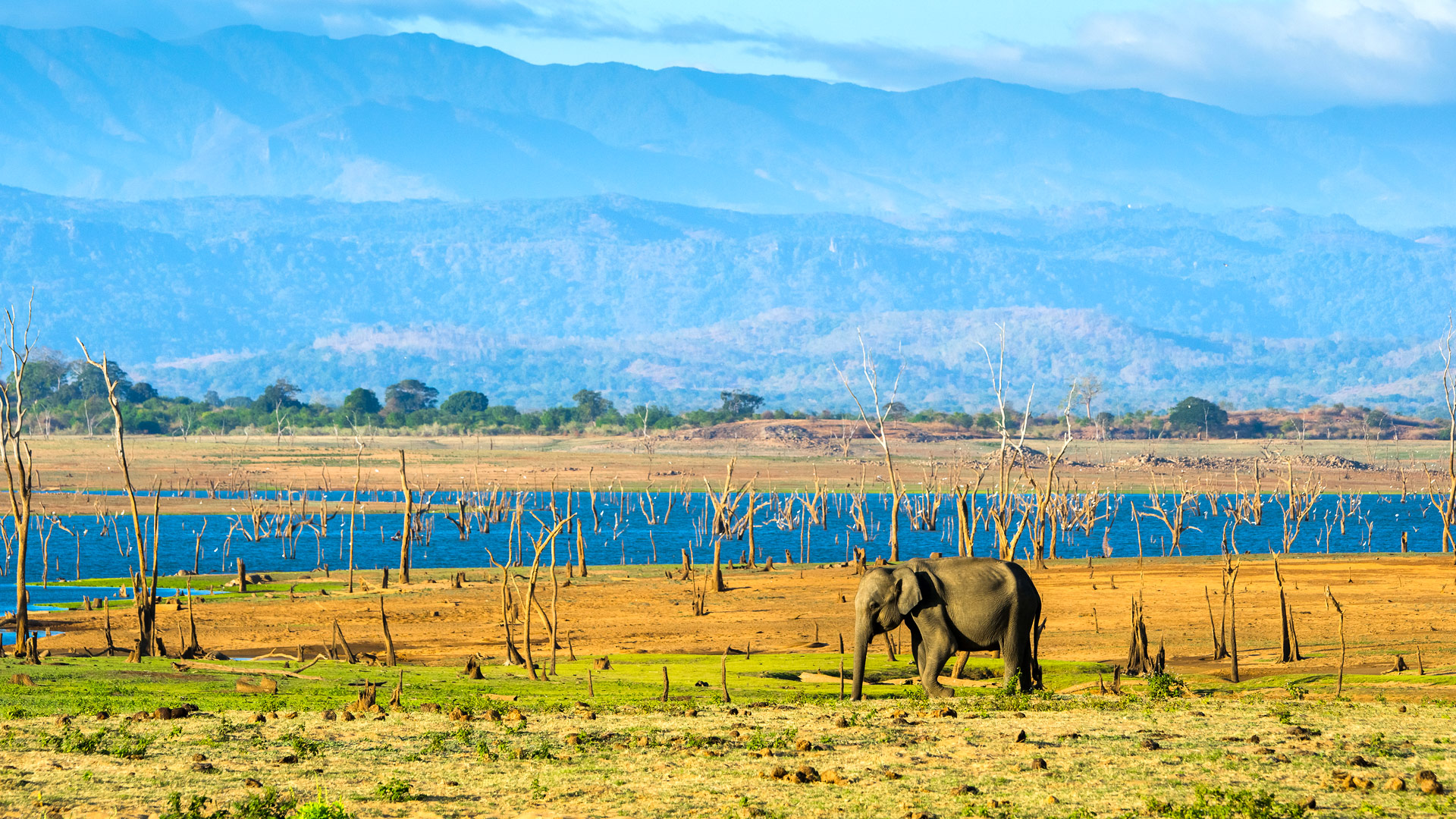 Safari in Udawalawe