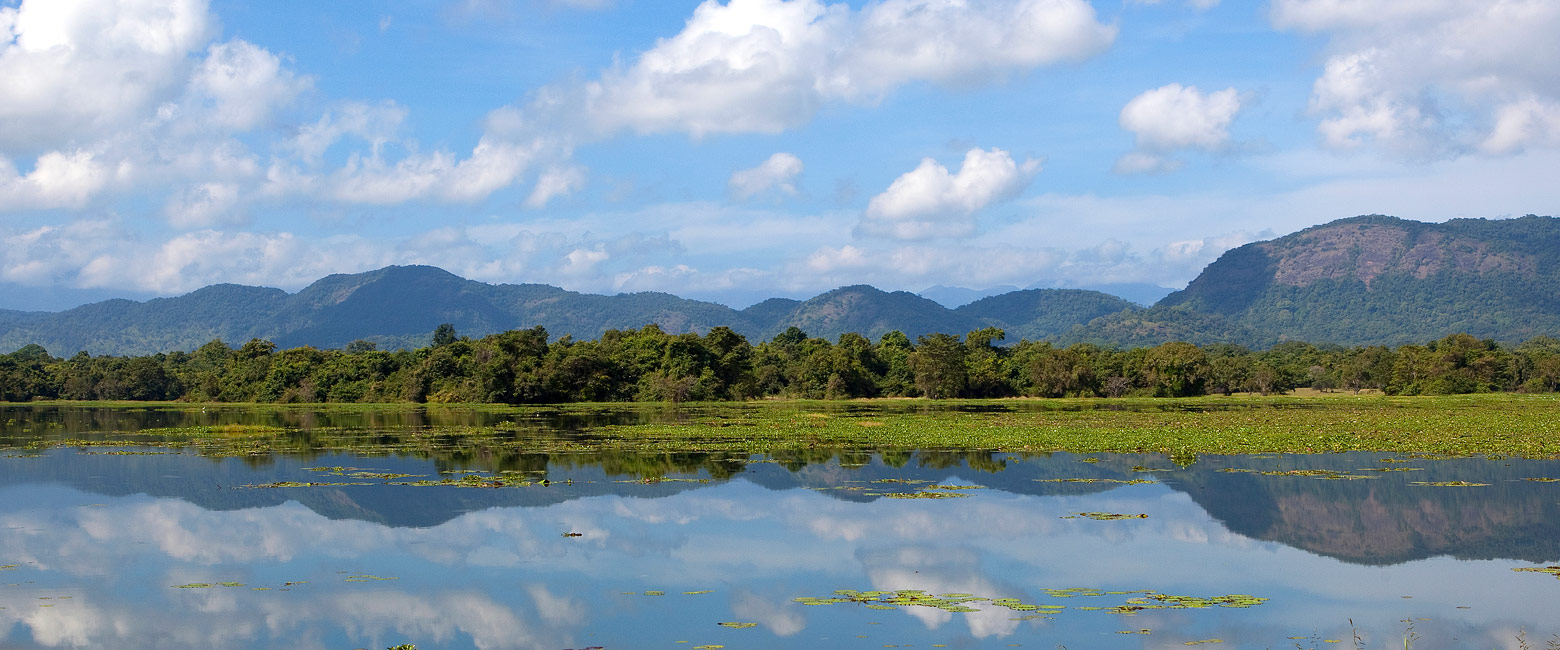 let us know your thoughts about Sri Lanka and we will help you create the perfect trip