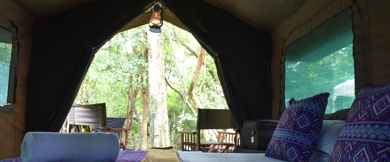 is a modest safari camp in the Wasgamuwa area