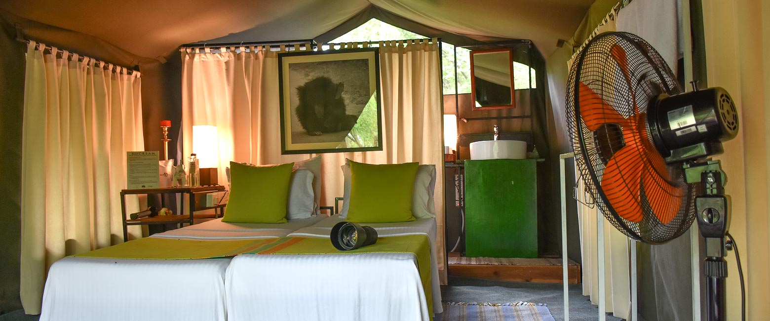 is a modest safari camp in the Wilpattu area 