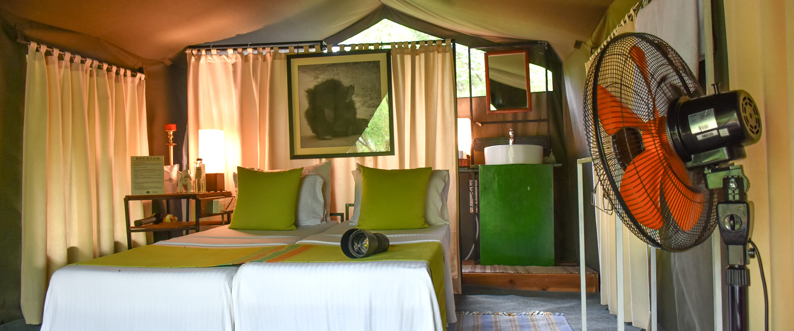 is a simple safari camp in the popular Yala area