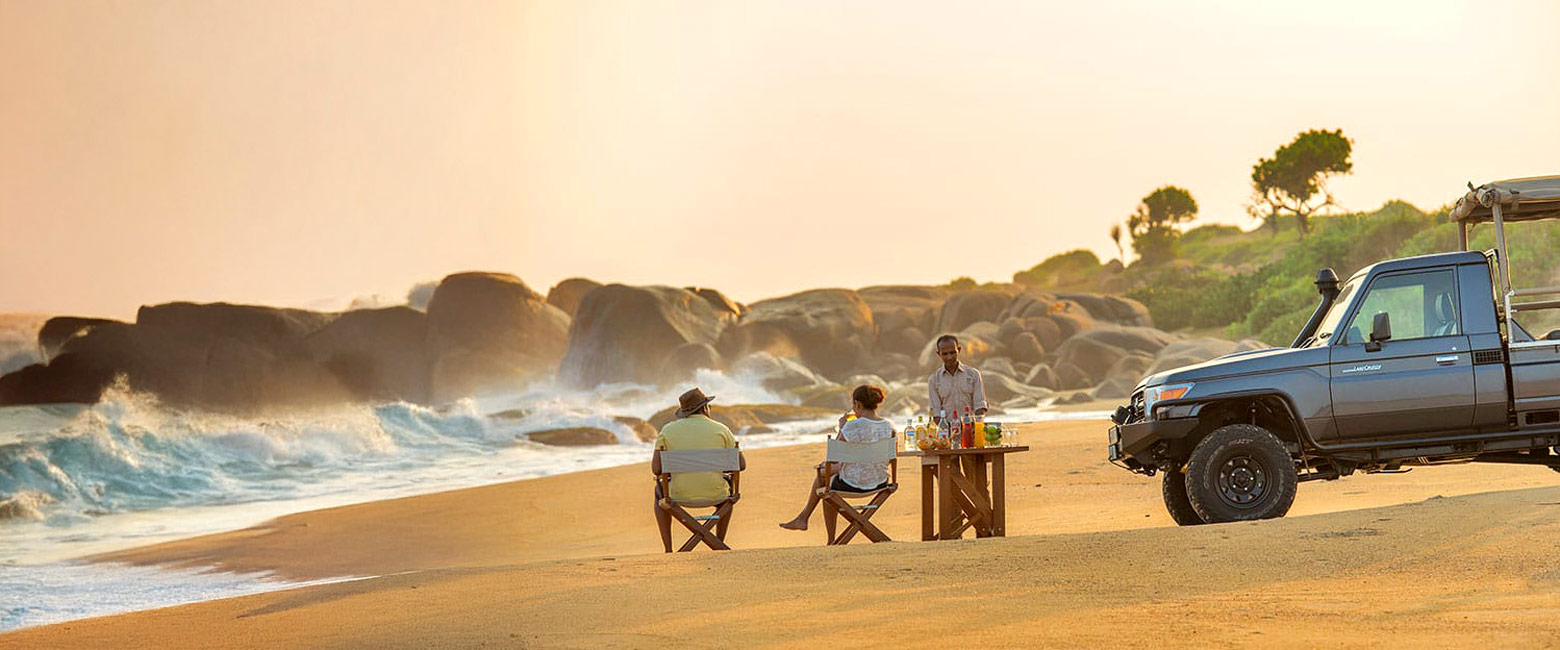 let us know your thoughts about Sri Lanka and we will help you create the perfect safari