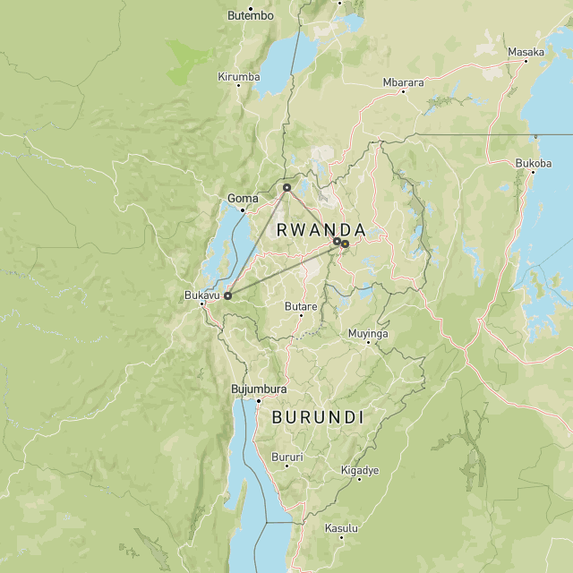 Primates in Rwanda