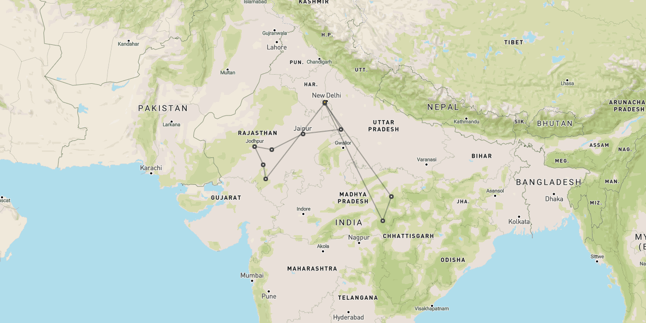 Tigers & Rajasthan