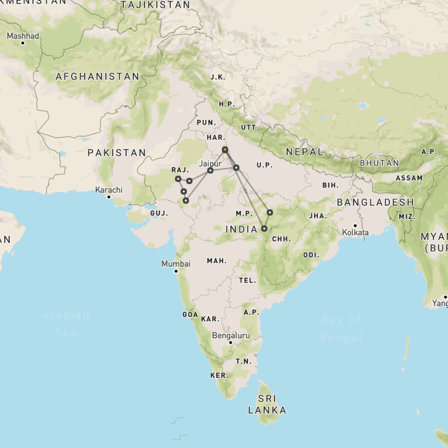Tigers & Rajasthan