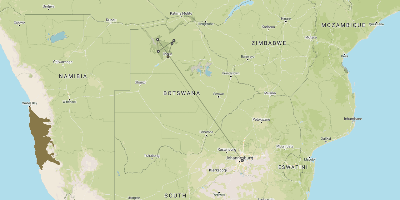 Botswana safari
