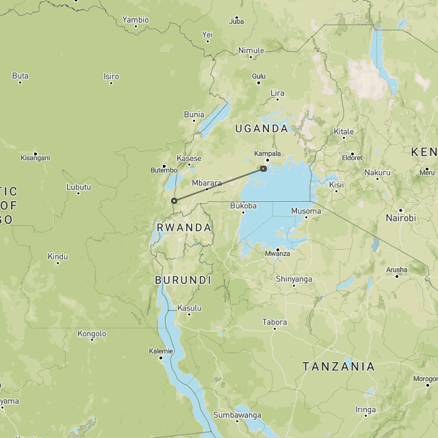 Gorilla safari in Uganda