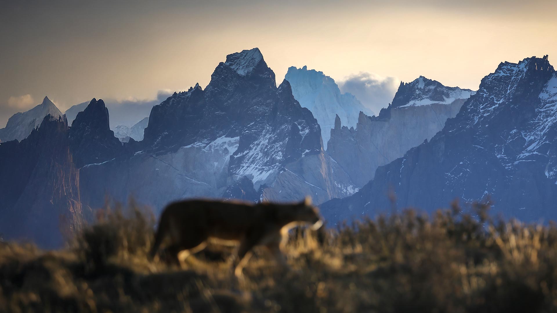 Andes, Patagonia & Antarctica