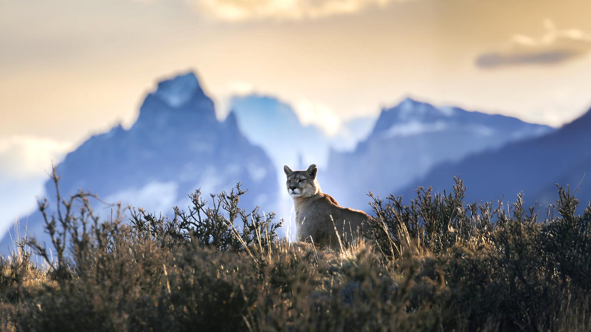  Torres del Paine & Antarctica