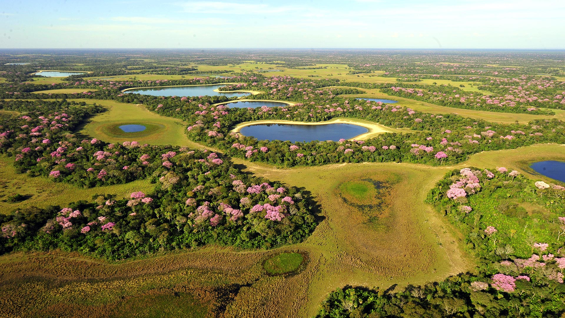 Pantanal, Iguacu & Patagonia