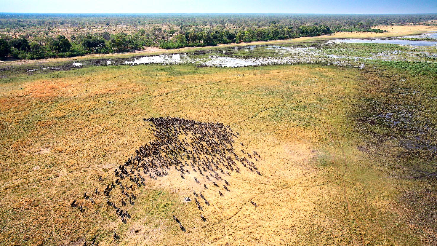 Botswana & Cape