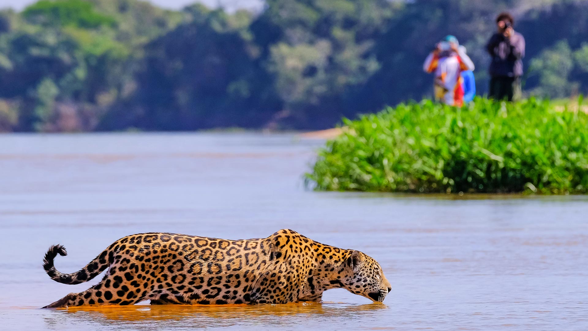 Rio, Pantanal & Iguacu