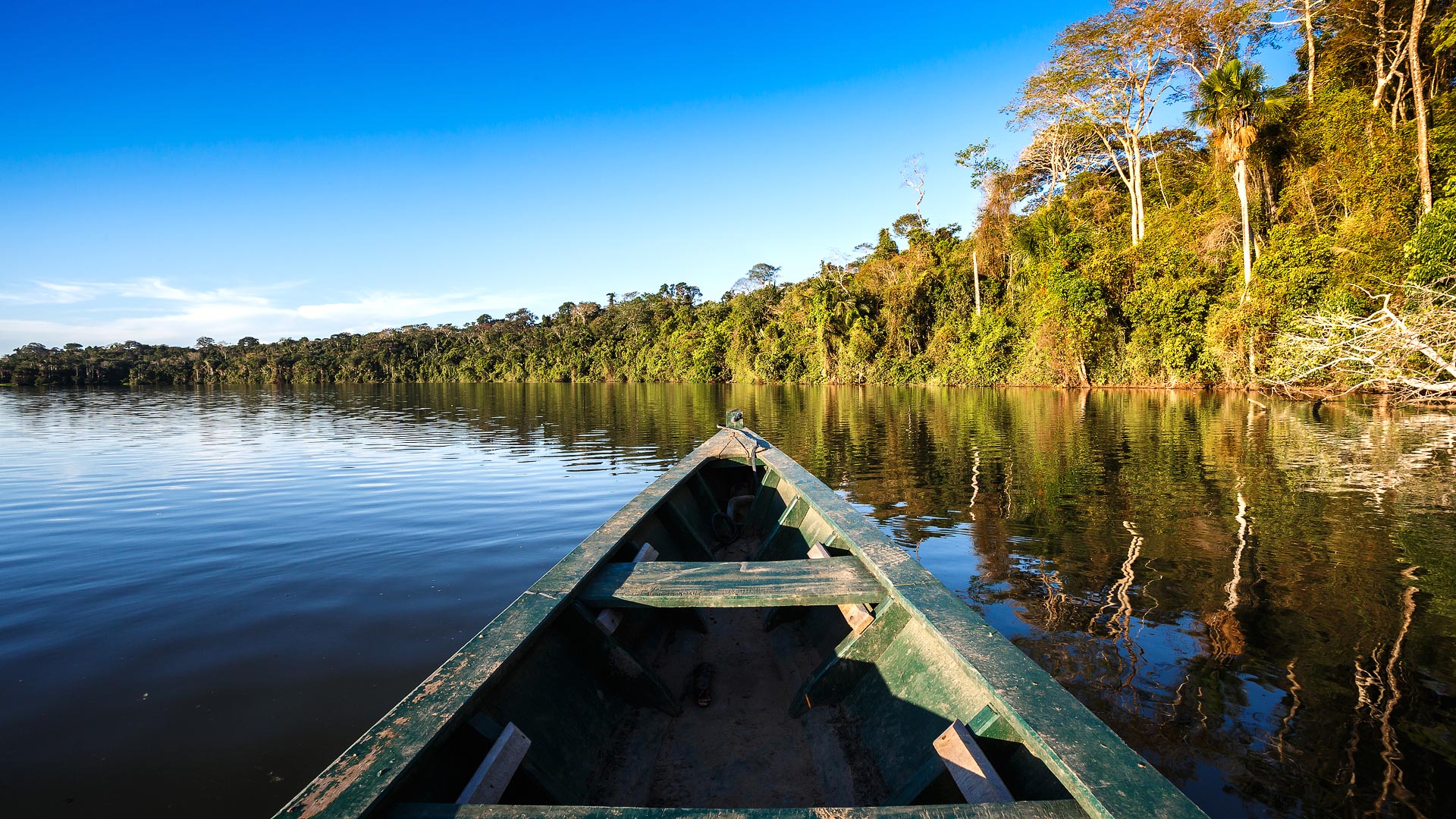 Rio, Amazon, Pantanal & Iguacu