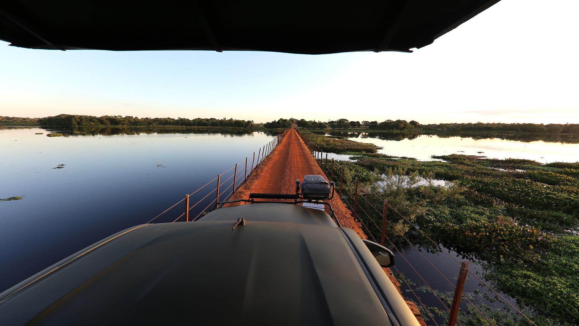 Rio, Amazon, Pantanal & Seguro
