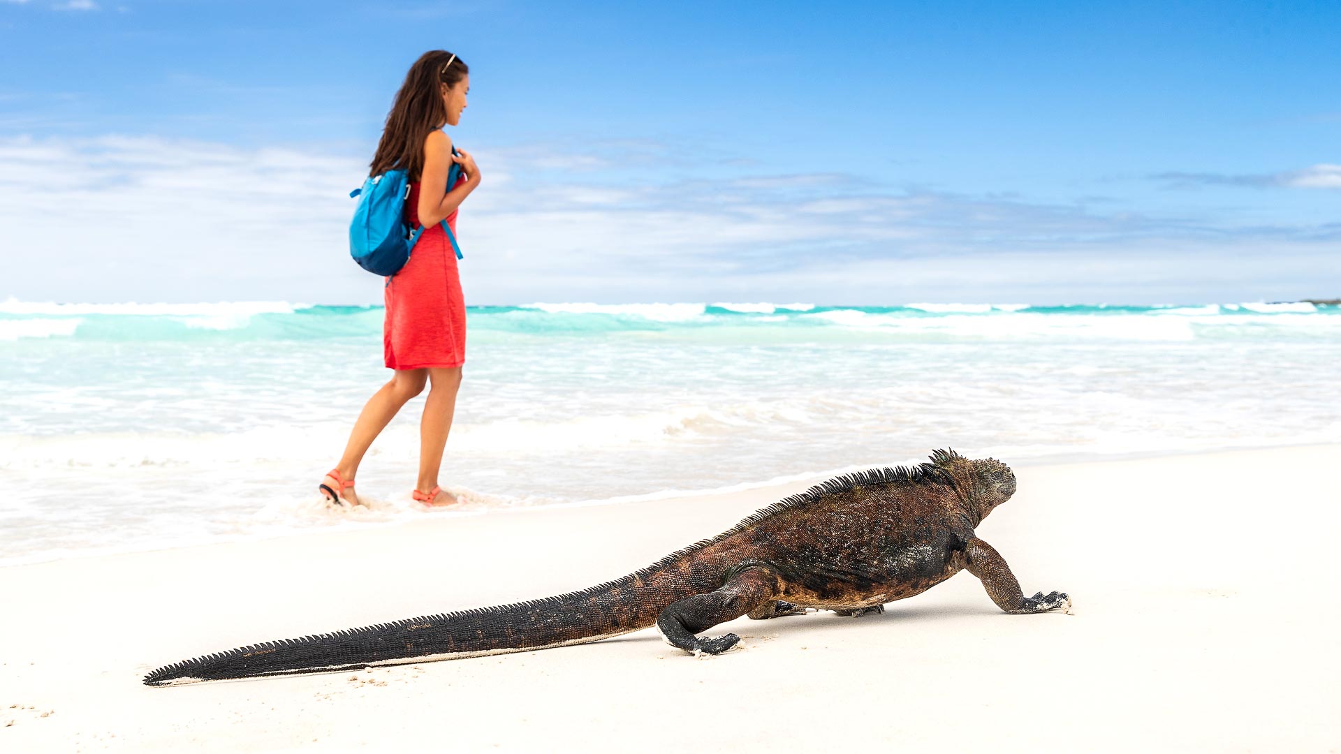 Galapagos by boat & lodge