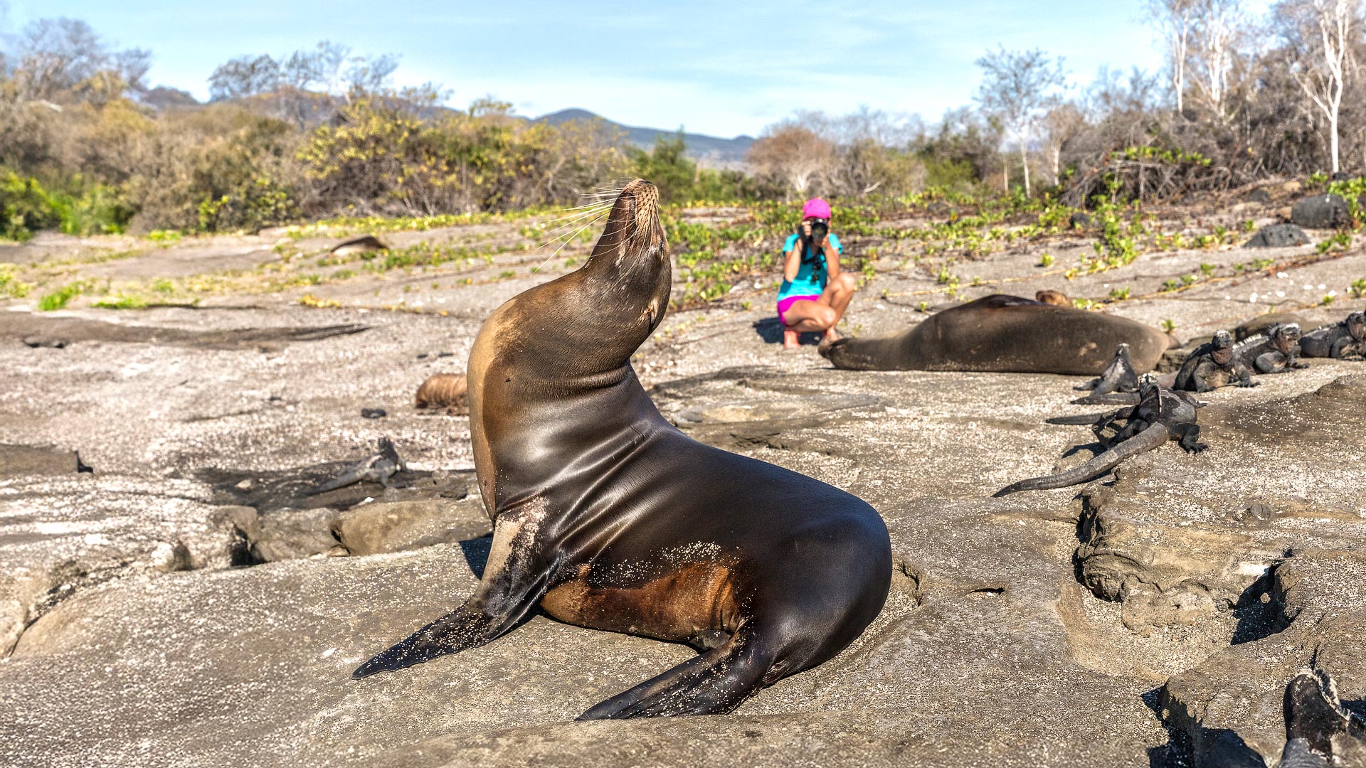 Galapagos by boat
