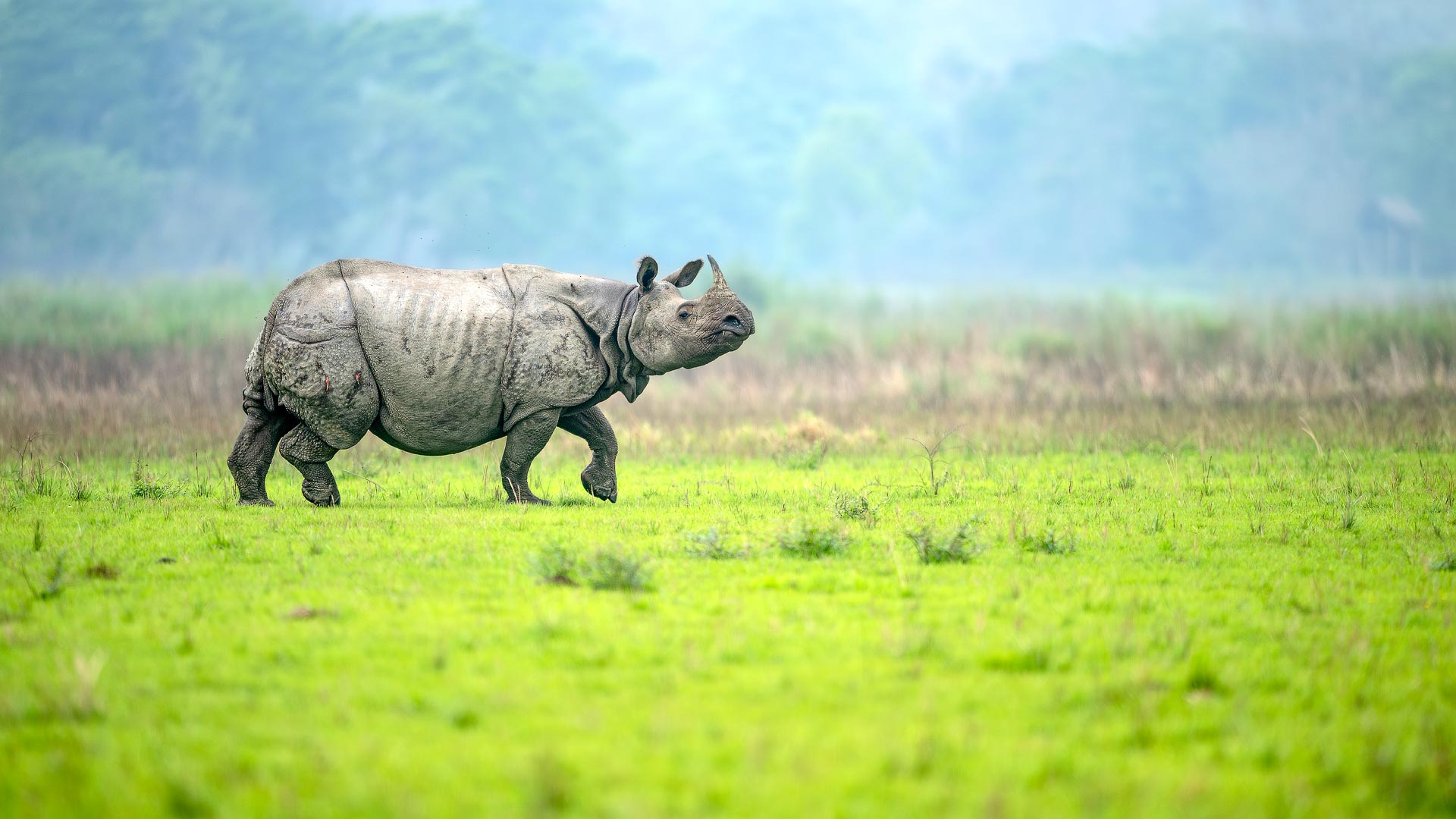 Northeast India