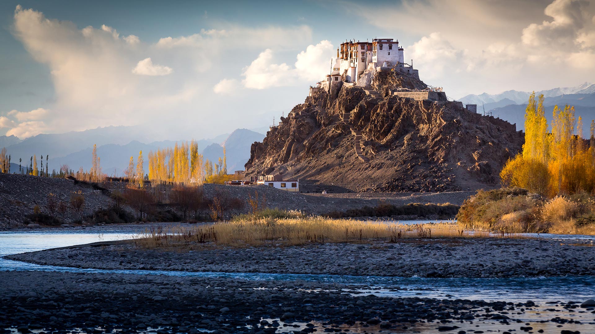 Snow leopards & Rajasthan