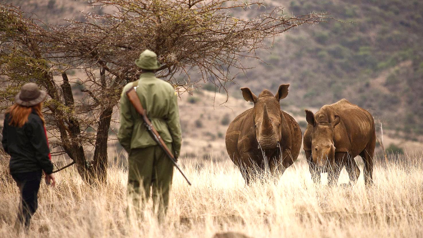 Lewa, Samburu, Mathew's & Mara