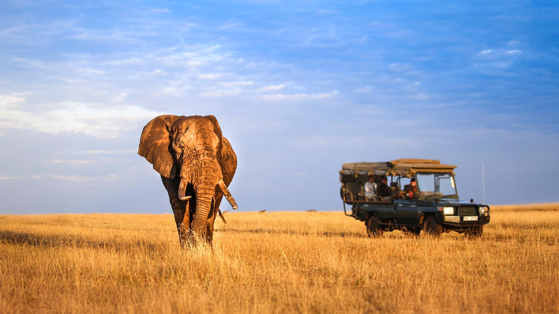Mara, Falls, Kruger & Cape