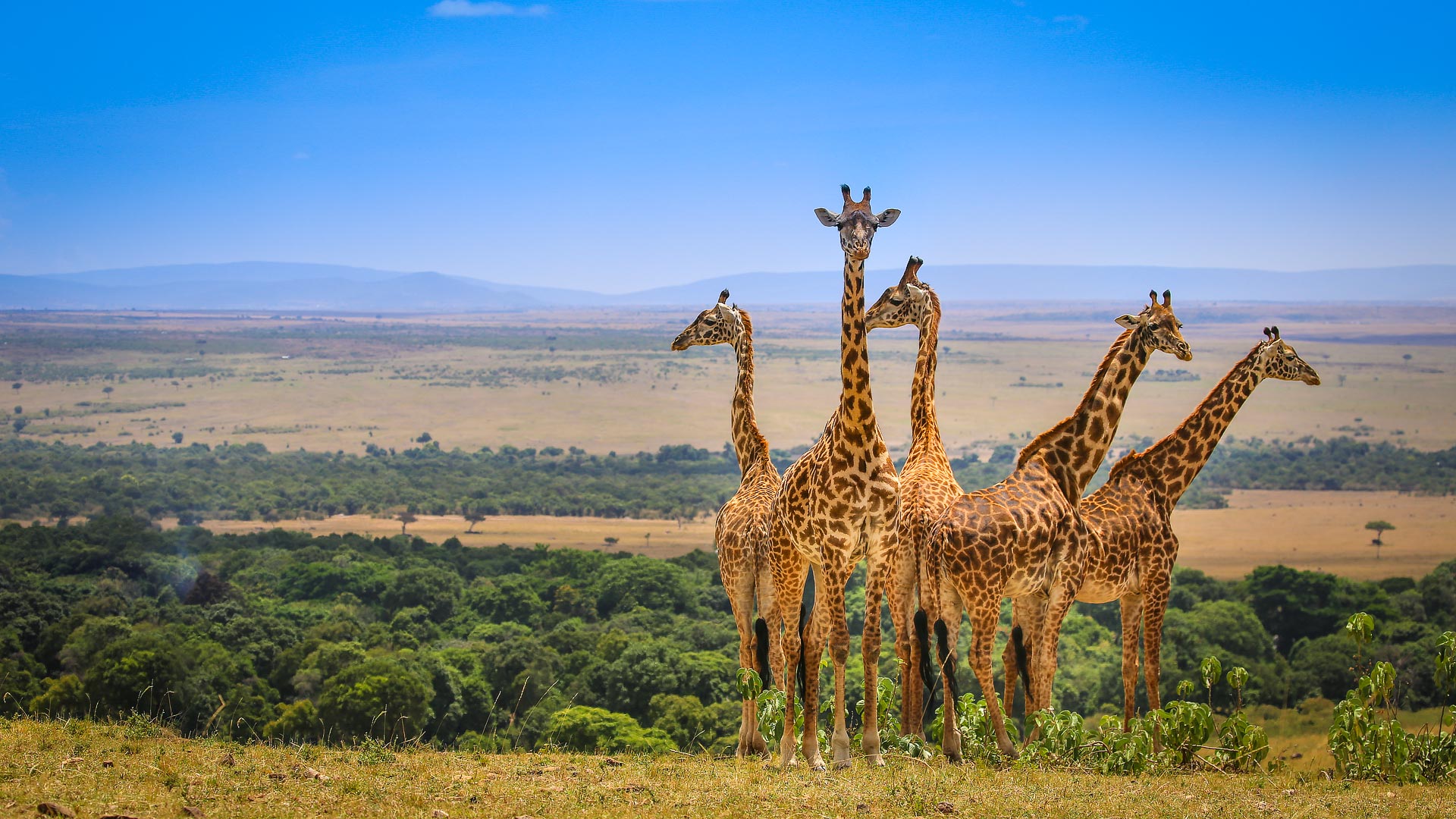 Maasai Mara & Zanzibar