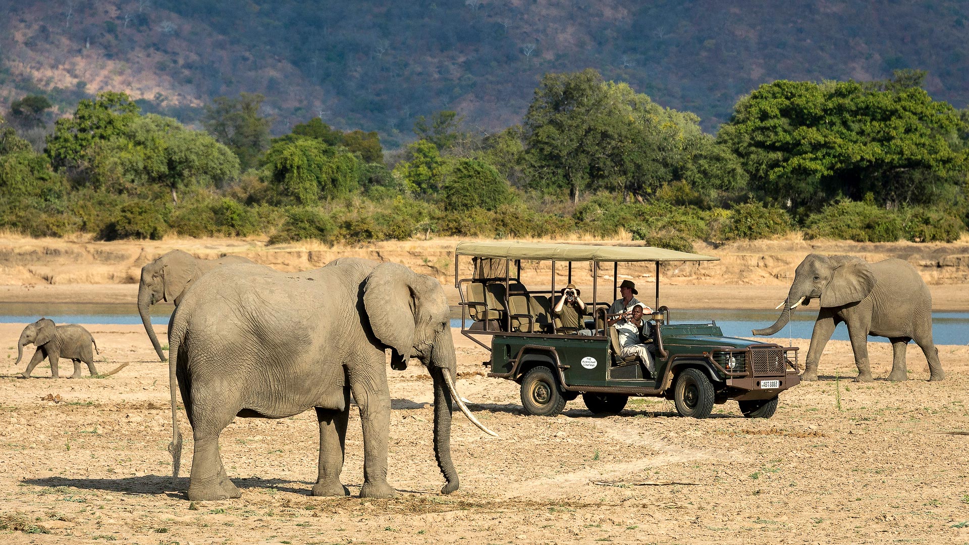 Kruger, Vic Falls, Luangwa, Malawi & Cape