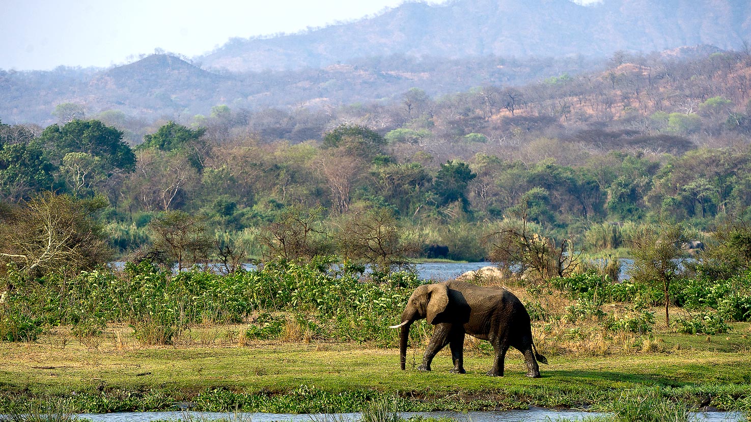Vic Falls, South Luangwa & Malawi