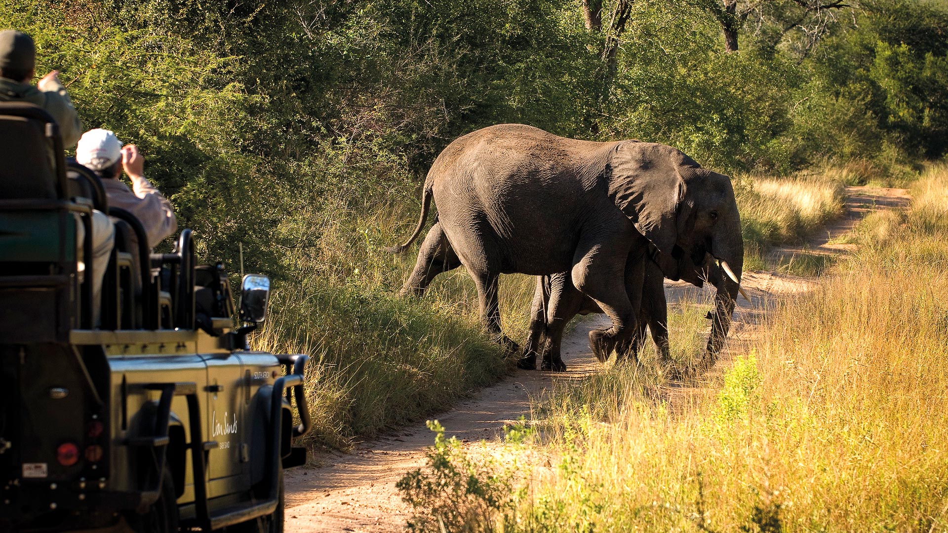 Kruger safari & Mauritius