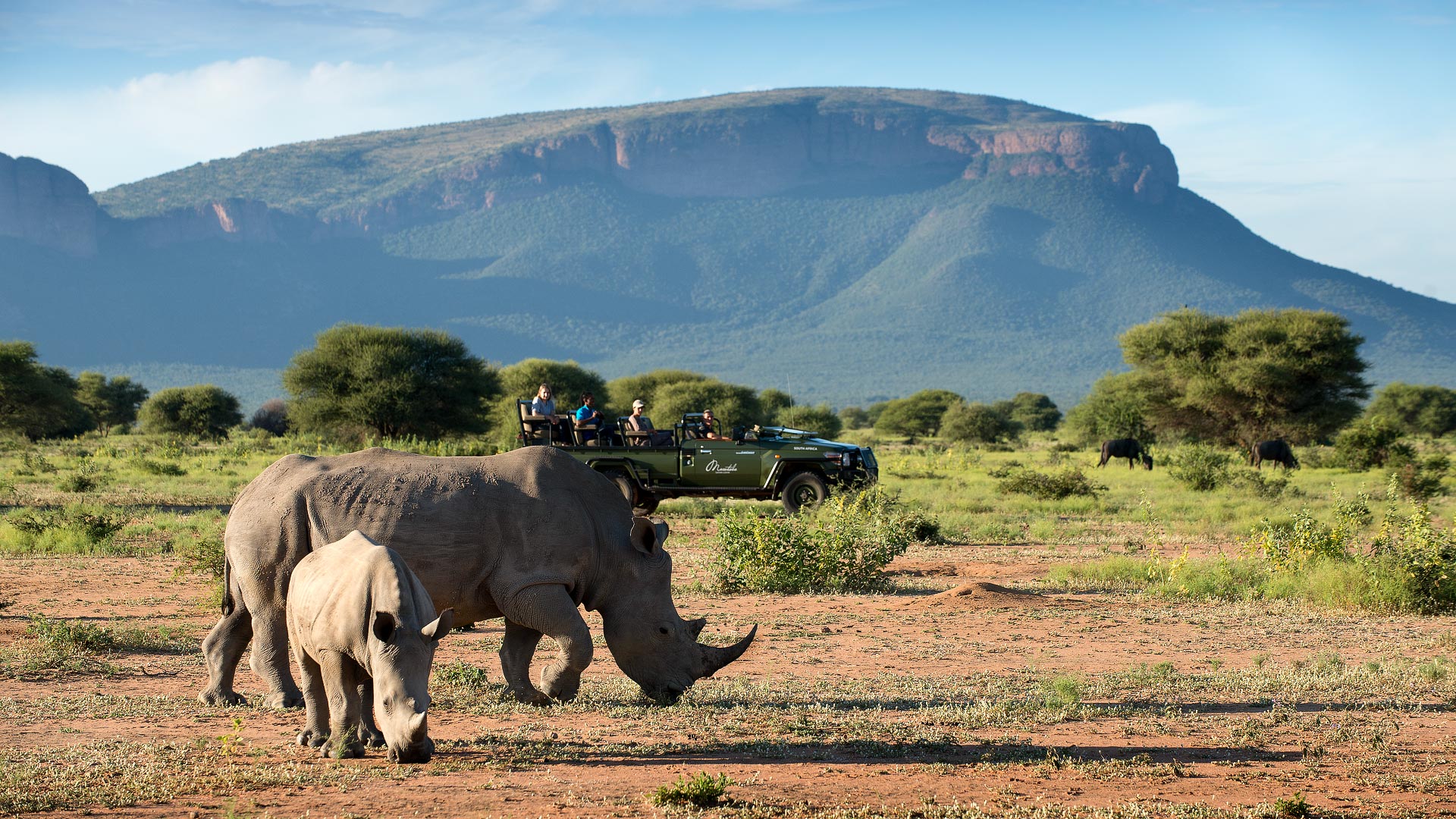 Cape, Waterberg & Mauritius