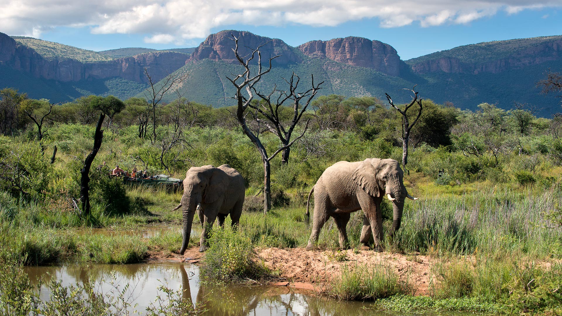 Waterberg & Cape