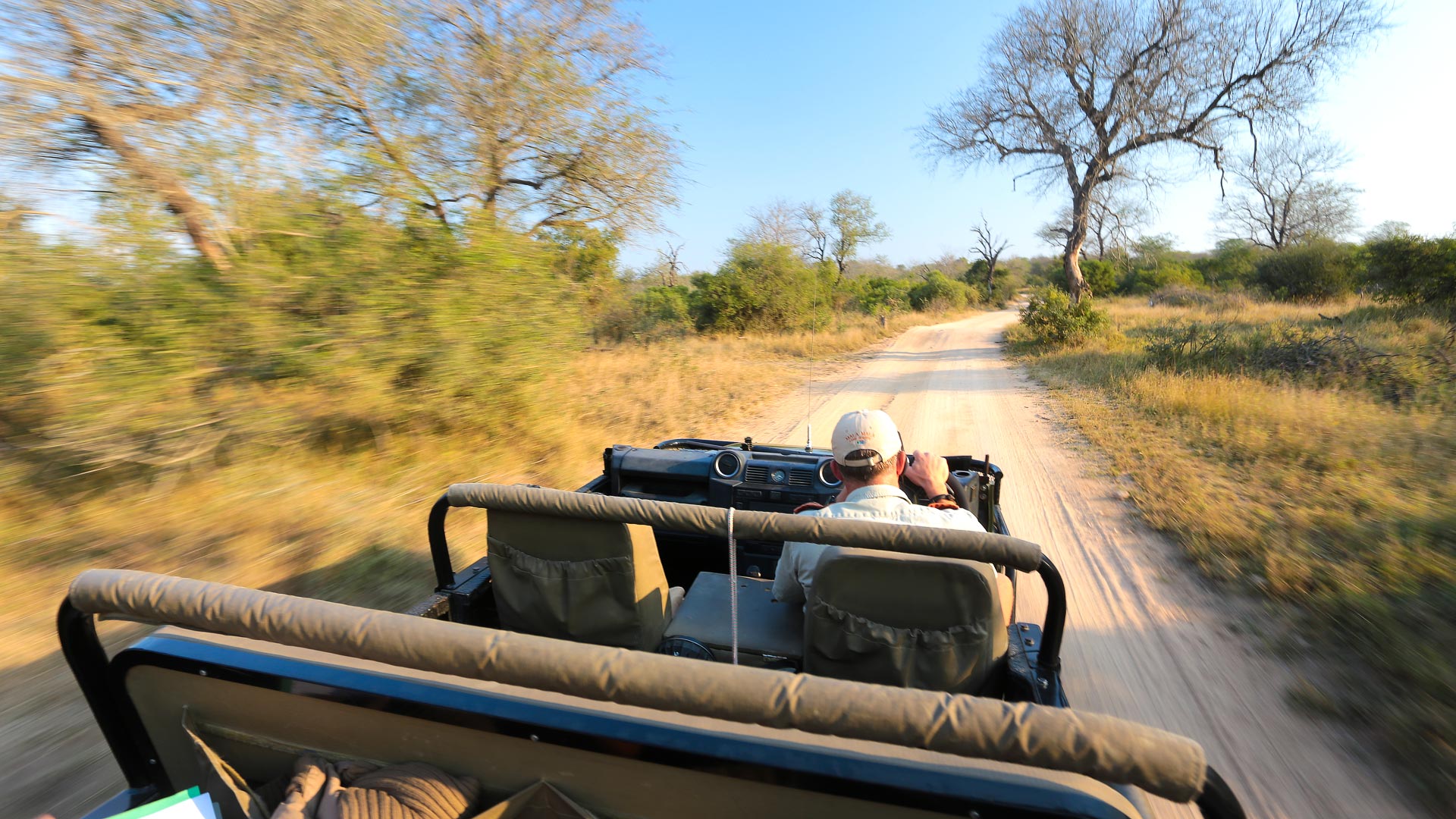 Kruger safari