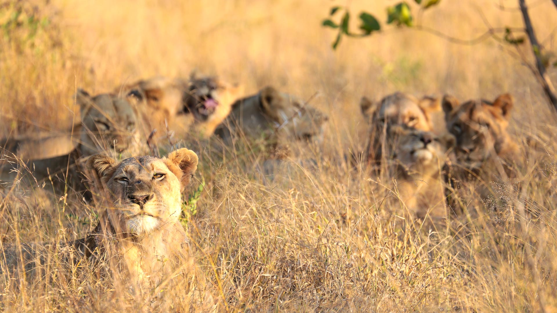 Kruger & Seychelles