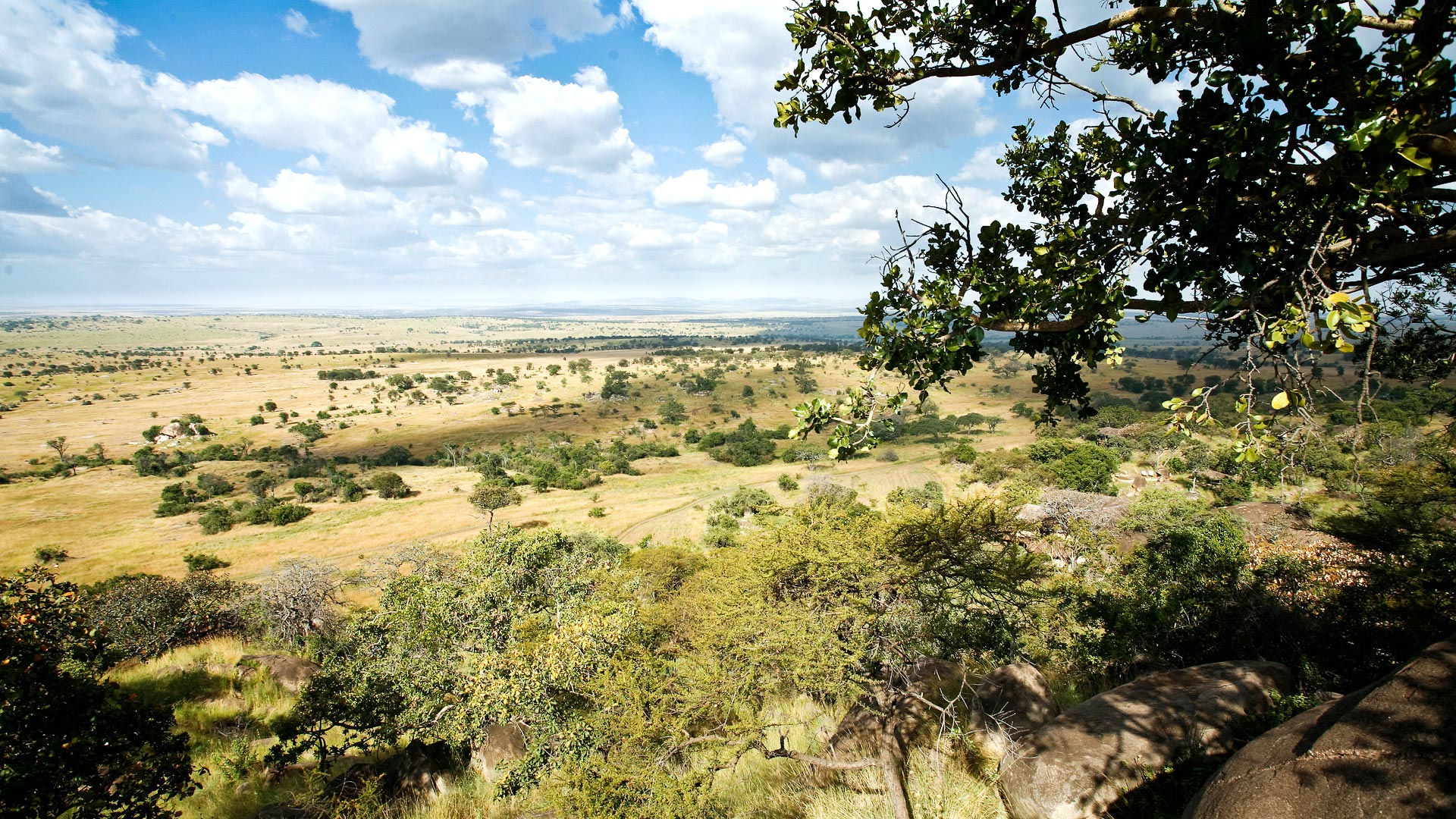 Serengeti, Zanzibar, Kruger Vic Falls & Cape