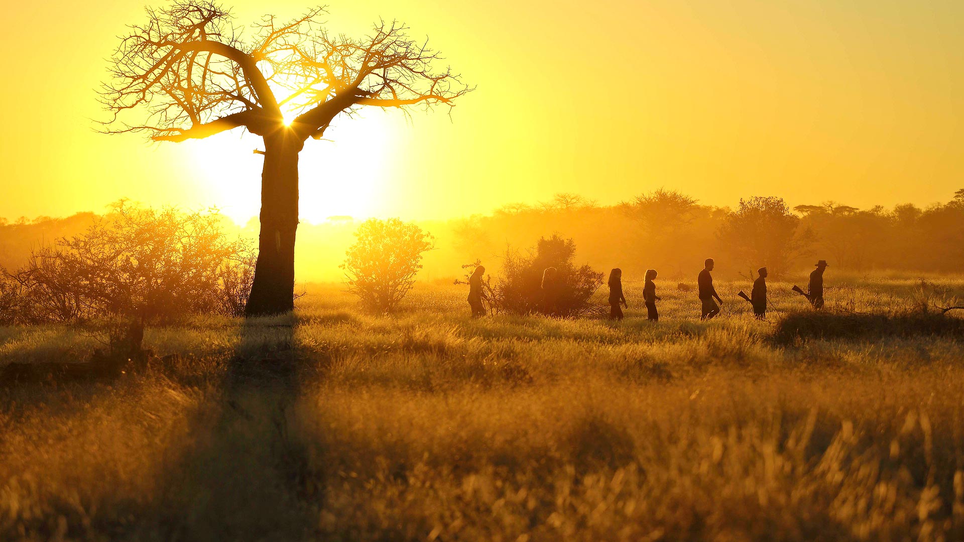 Ruaha walking safari
