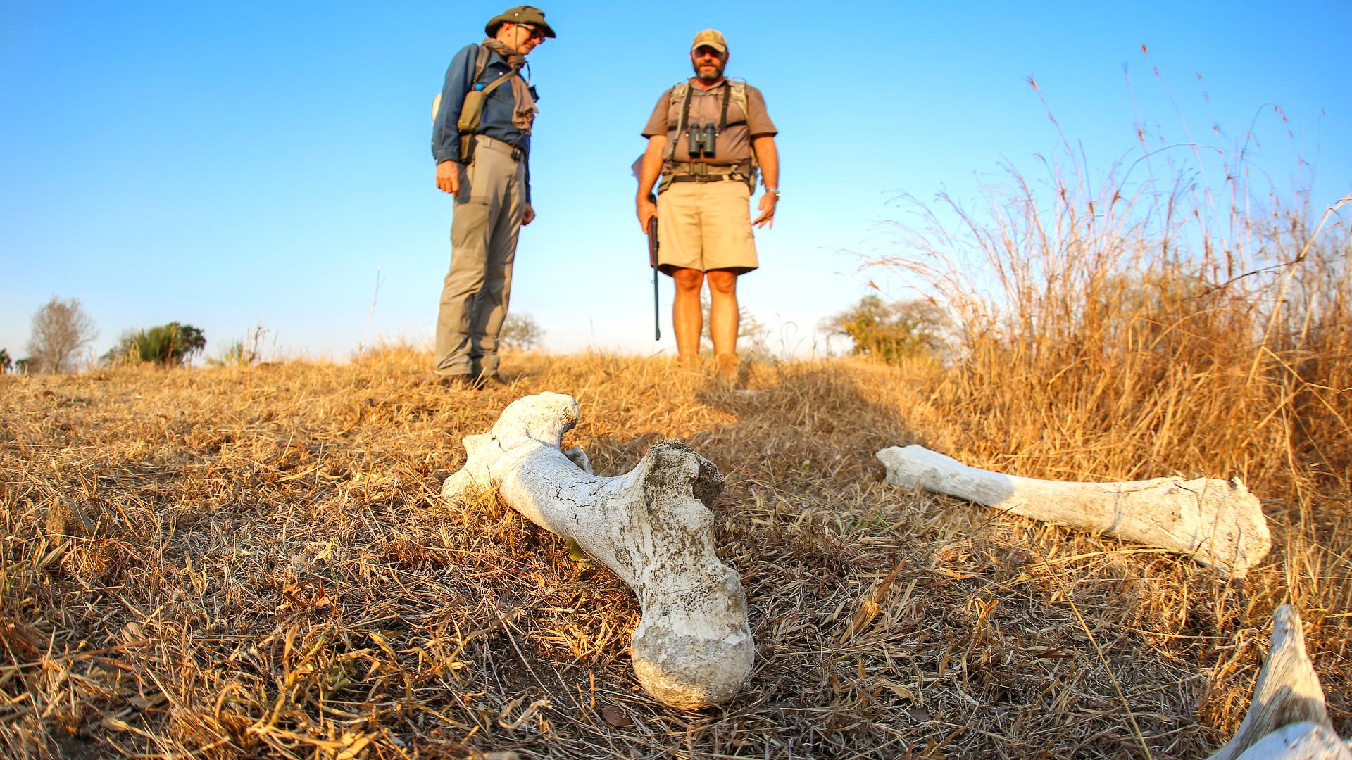 Ruaha, Selous and beach