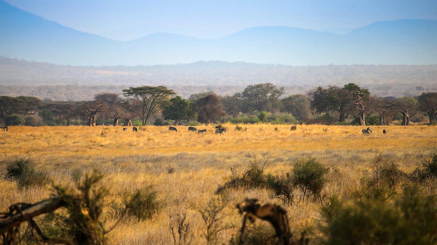 Tanzania North, South & beach