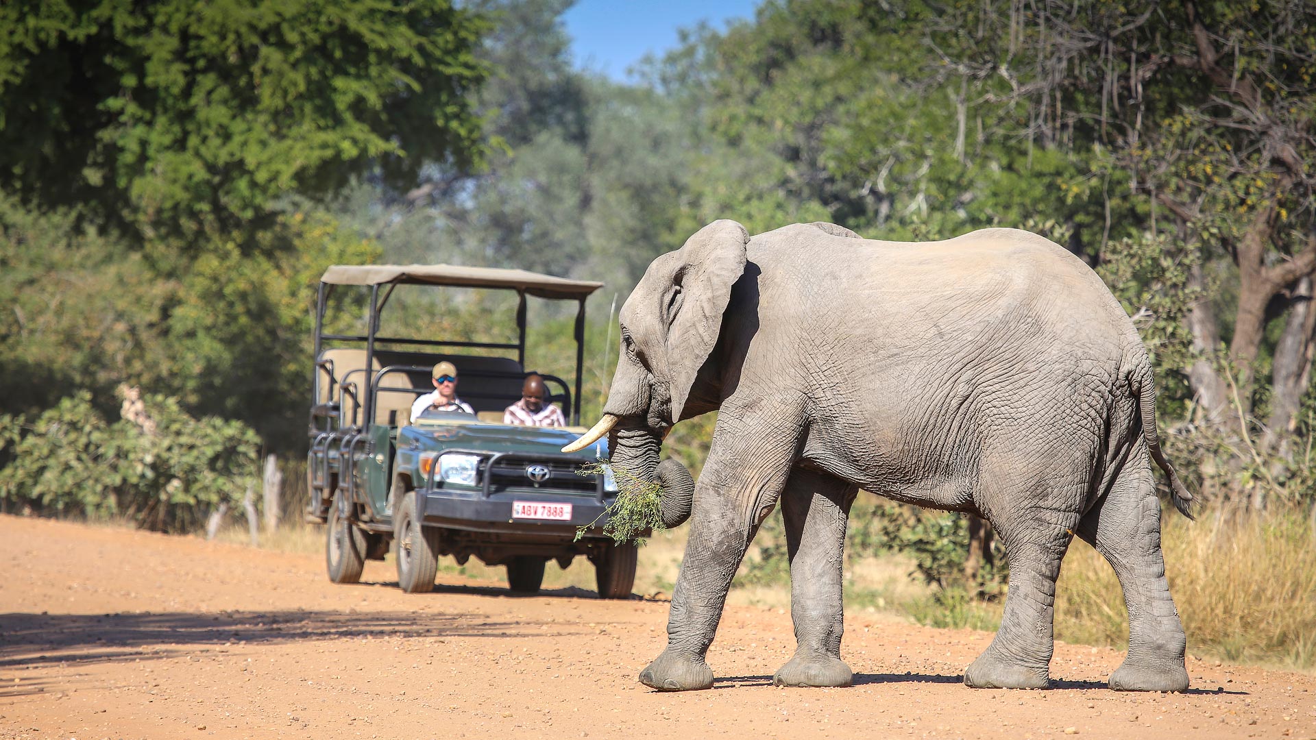 Vic Falls & South Luangwa