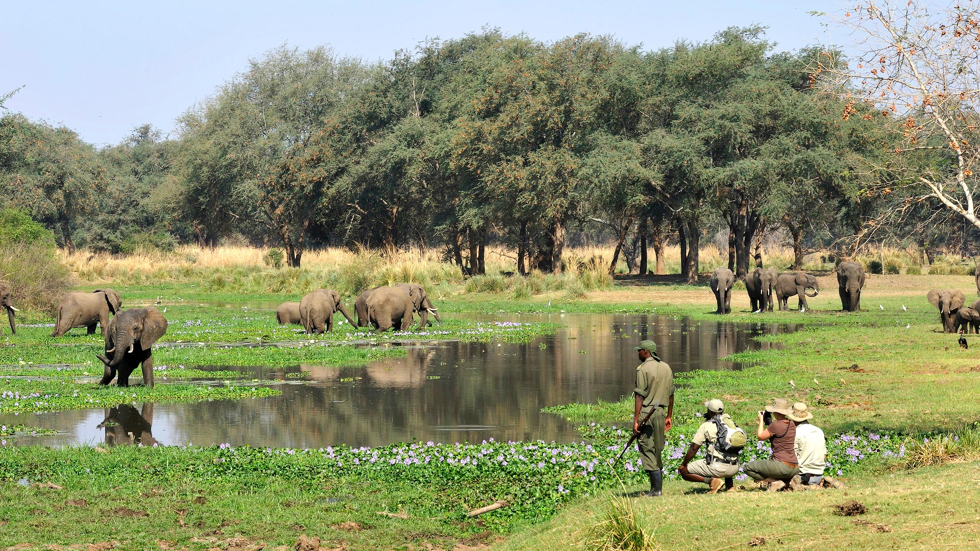 vic Falls & Lower Zambezi