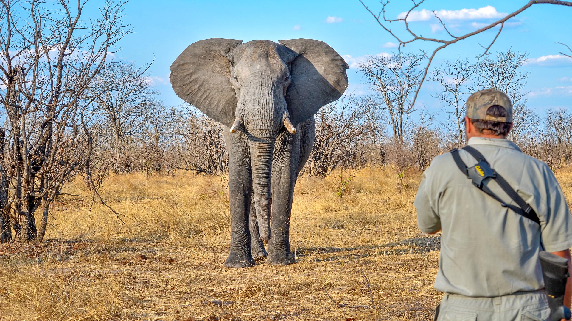 Vic Falls & Hwange